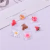 Mélanger 14/10pcs / pack coeur ours ours biscuits à œufs Sac bonbons Resin charmes bijoux de pendentif fabrication artisanat bricolage