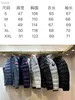 2024 New Mens Jackets Klassische Männer Mode -Luxusdesigner Marke Down Jacke Parkas Mann Effekte Trend Winter warmer Baumwoll Outdoor -Outwear -Mäntel E2227 Dünn und Licht