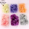 Decorative Flowers Real Natural Fresh Preserved Hydrangea Heads Dried Epoxy Resin DIY Candle Handmade Crafts Forever Rose Hydrangeas Decor