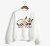 Men039s Hoodies Men039s Sweatshirts Avatar The Last Airbender Men Appa Yip Harajuku Print Casual Loose Male Fashion Long S7925392