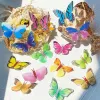 5 pezzi/pacchetto Pinsina carina per bambini femminile femminile 3D farfalla per capelli fotografici per matrimoni Accessori per capelli da sposa per capelli da sposa