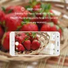 Oukitel K6000 plus 5,5 "Smartphone d'écran FHD Android 7.0 4 Go RAM 64 Go Rom Cell Phones 6080mAh 16MP APPAMIER
