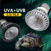 UVA + UVB LED Light Light Turtle Patching Platforma Full Spectrum Sun Lampa opalana lampa cieplna dla jaszczurów i płazów