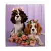 Cavalier King Charles Spaniel Dogs Curta