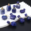 10 Kinds Natural Lapis Lazuli Random Shape Perfume Bottle Pendant Essential Oil Diffuser Charm Jewelry DIY Making Accessories