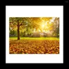 Tapisserier Forest Tapestry Sun Rays Through Trees Countryside Scenic Wall Hanging For Bedroom Living Room Dorm Decor