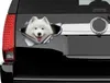 Samoyed sticker, Samoyed car decal, pet decal, dog sticker, dog decal