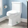 Couvercles de siège de toilette 2pcs boulons casquettes en céramique mignonnes drôles de grenouille décorative facile