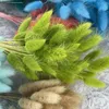 50PCS Bunny Rabbit Tail Grass Natural Dried Flowers Bouquet Wedding Christmas Decoration Lagurus Pampas Home Decor Po Props 240409