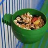 Altre forniture per uccelli PARROT PARROT AVIARIO PET PET CAGURA ROURNO ALIMENTO ALIMENTO ALIMENTO BOCCHI BACCHI Piatto 5 %