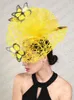 Fascynator Wedding Headpiece Women Butterfly Nekury dla kościoła derby hat fascynatory opaski na głowę pstrąża pillbox kwiat 240401