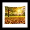 Tapisserier Forest Tapestry Sun Rays Through Trees Countryside Scenic Wall Hanging For Bedroom Living Room Dorm Decor