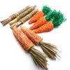 Corbe à paille naturelle Carrot Hamster molaire jouet jouet petit animal de compagnie pour hamster lapin broyant grroducts ronger les fournitures de jouets