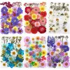 Färgglada pressade blommor hartsmögelfyllningar Torkade blommor Daisy Dry Plant för DIY -smycken som gör hantverk Nagelkonst Beauty Decal