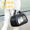 Carrier gatti Portibile Portable PET PET TOTE BAM PUNSO PICCOLO CANI con sicurezza regolabile