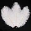 10pcswhite autruche plumes centres de table de mariage pour tables décordiy mouche à attacher des accessoires d'artisanat