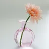 Vases Glass Bud Vase Bottle Decorative Creative Mini For Living Room Table