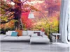 Bakgrundsbilder Heminredning Maple Forest Beauty HD Pografiska bilder TV Bakgrund Mural 3D -tapet