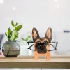 Souries d'animaux Rack Cute 3Danimal Wood Carvings Sunglass Display Rack Shelf Eyeglass Show Stand Bijoux Habet Decor