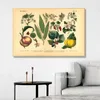 Vintage botanische groenten en groenten retro posters canvas schilderen prints muur kunstfoto's voor keukenkamer huis muur decor