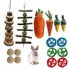 Pet Chew Toys Set Natural Wood Sticks Loofah Rattan Ball Handgjorda behandlar presenttänder Vård för Hamster Rabbit Guinea Pig