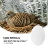D'autres fournitures d'oiseaux 30 pcs d'œufs de pigeon solides réalistes pour s'arrêter de pondre