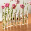 Vase Nordic Style Clear Glass Vase Flower Tube Ardence装飾透明な水耕植物ホームルームの装飾