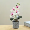 Fleurs décoratives orchidées artificielles fleurs artificielles orchidées papillon blanc faux phalaenopsis bonsaï en pot pour décoration de mariage de bureau à domicile