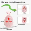 RC Remote Control Snake Toy pour chat chaton Contrôleur en forme d'oeuf RattlesNake Interactive Snake Cat teaser jouer au jouet gid