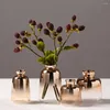 Vases Verre Planteur Vase Vase Pot Pot Terrarium Container Salon Table