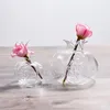 花瓶の赤いザクロのガラス花瓶ミニ透明な水耕栽培フラワーハンドメイドフルーツデスクトップ