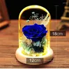 Decorative Flowers Eternal Rose Glass Shade Finished Decoration Valentine's Day Gift Practical Girlfriend Birthday Creative