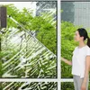 Glas tvätt rengöring moppfönster renare hem långt handtag borste med skrapa roterbar 300 ° glas squeegee teleskopstång mopp