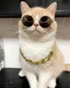 Dog collar cat and puppy chain shiny little cat party necklaces suitable for small and medium-sized dog pet collars accessories LT909