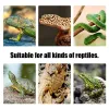 Terrarium Reptiles Lizard Heat Mat Climbing Pet Heat Warm Pads Intelligent justerbar temperaturkontroll Mattor 110V/220V