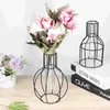 Vasen 1PC Eisendekoration Glasrohr Vase Hydroponik Pflanzer grüner Behälter Blütenanordnung (quadratische) Blüten