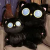 Chat noir peluche jouet en peluche chaton