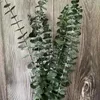 Flores decorativas de 12 sistemas /lote 40-45cm Hojas de eucalipto planta seca fresca preservada para la fiesta de bodas Ramas secas