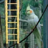 Other Bird Supplies Hamster Climbing Ladder Budgie Training Step Toys Guinea Pig Wooden