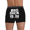 Big Dick ist wieder in der Stadt Männer Unterwäsche Boxer Shorts Höschen lustige weiche Unterhosen für Homme S-XXL