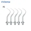 Vv Dental Outlet Store Air Scalers Conseils A1 A2 pour la mise à l'échelle et le polissage compatibles avec AMDENT REPLIER CURAL ROOT CURE CURE