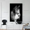 Animal Black White Horse Poster Bilder tryckt duk väggkonst för vardagsrum canvas målningar vägg bild heminredning gåva