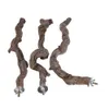 Bird Parch Parrot Standing Branch Natural Wood Stand Bars Bur Snuggle Troy For Small to Medium Birds Bird Accessories