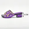 Dress Shoes High Heel Women Pumps African Shoe For Parties Wedding Sexy Ladies PartyShoe1 Arrival Purple Slip On