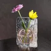 Vasi di vetro giapponese Crystal pianta semplice per pianta per fiori composizione floreale desktop idroponica bellissima vaso pratico pianta