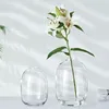Vases de style japonais vase en verre vase Ins Simple Water Culture Modern Decoration Home Room