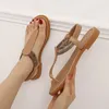 Sandales de créateurs de femmes Bohemian Style Flip Flop Slippers Gai Brown Black Beige Dames Flats Fashion Tlides taille 36-42