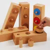 Knobbed Cylinder Socket, Surface Wooden Cylinders Ladder Blocks Training Ability Bright Color for Playing for Daily Use for Children