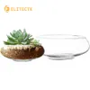 Glasvase Schüssel Blume Vase Rundes Terrarium Glasshydroponischer Pflanzer Blumenbehälter Clear Fish Bowl für Tisch Herzstück