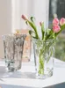 Vases Europe Transparent Thicken Glass Vase Home Decor Living Room Decoration Flower Plant Bottles Tabletop Light Blue